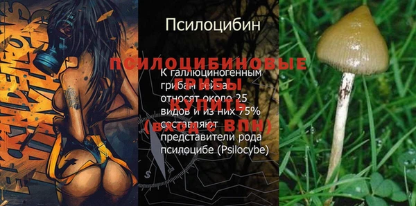 бошки Алзамай