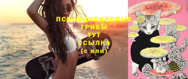 прущая мука Арсеньев