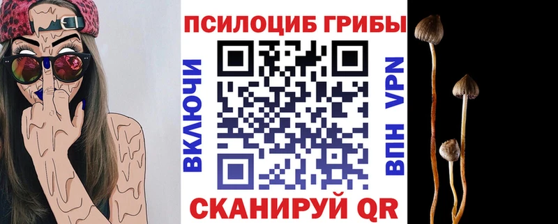наркота Жигулёвск Псилоцибиновые грибы прущие грибы